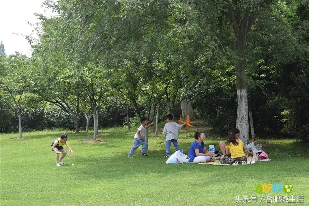 老合肥杏花公园,合肥曾经有两个杏花公园