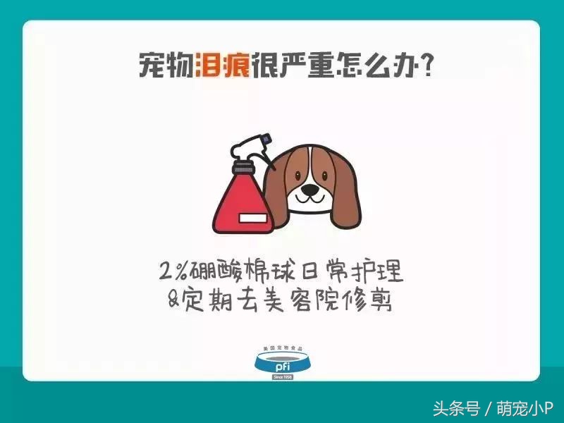 宠物泪痕如何消除,宠物泪痕如何消除省钱