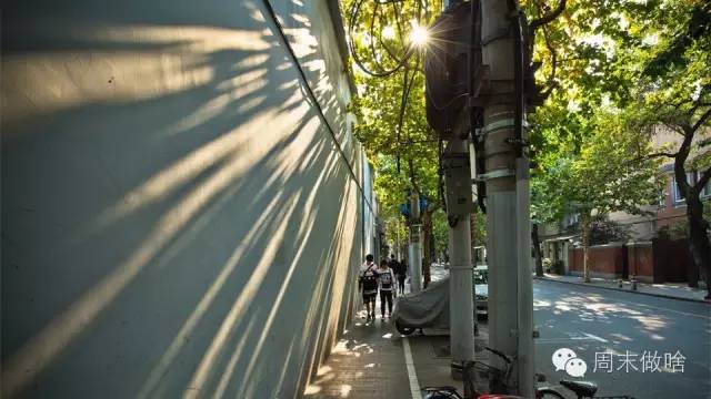 厉害了!魔都这条路上的面包比Farine好吃，梧桐比武康路还美