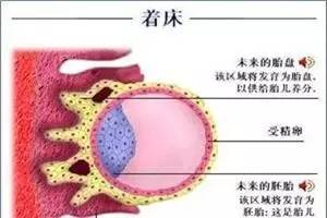 孕早期出血的原因及应对,孕早期出血的处理