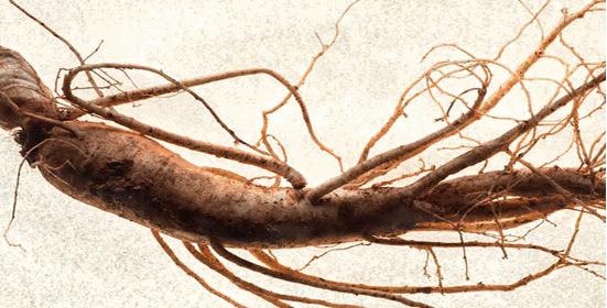 护肤终极步骤面霜你怎么选,如何选择一款适合自己的面霜