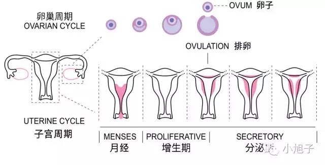 妈妈们曾经羞于谈起的事情，如今我想和你讨论讨论