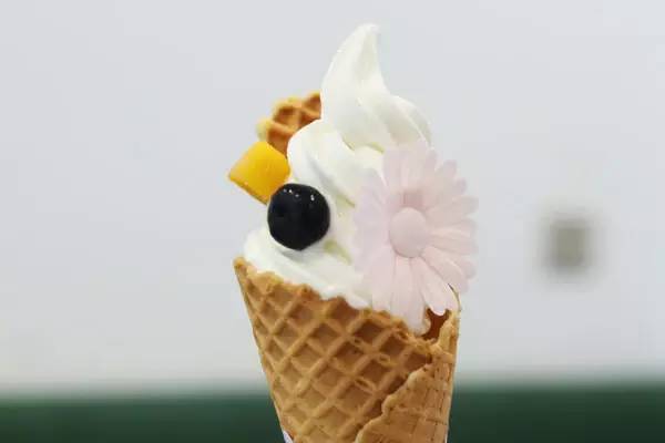 中山路酸奶冰淇淋,鲜城海品