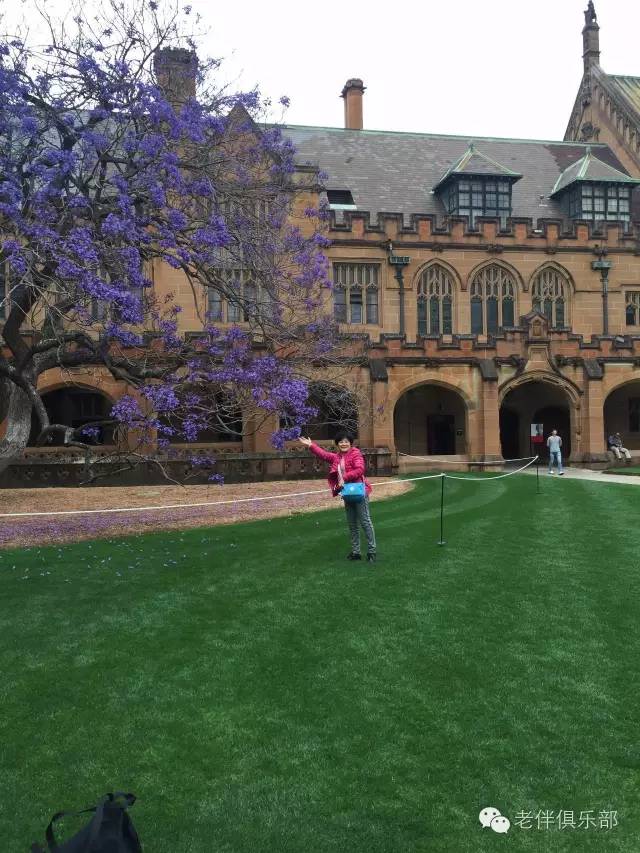 老伴自驾游好不好,6旬夫妻游欧洲