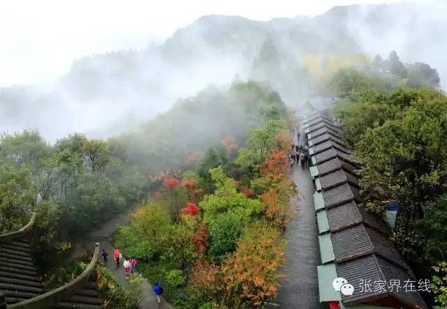 影像张家界季节篇：深秋的印记