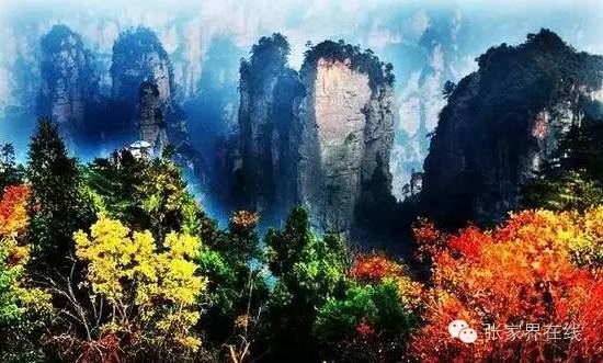 影像张家界季节篇：深秋的印记