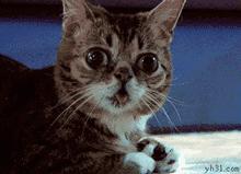 双11淘宝退货率近60%这是假新闻么,双11退货潮来袭