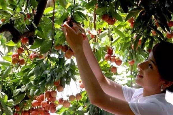 聚焦│厉害了我的灵山，因为这件事竟然吸引那么多人来！