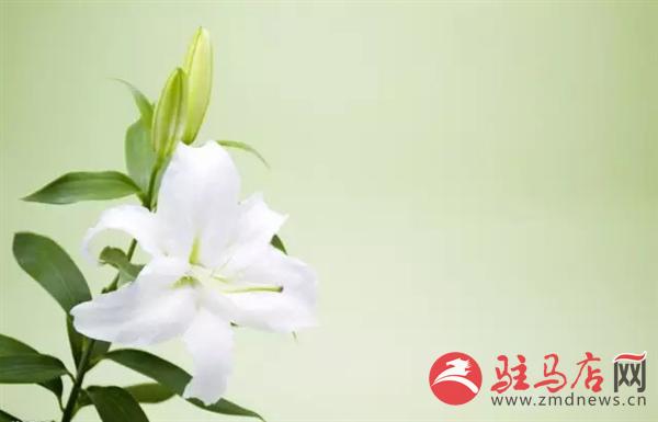 医圣祠知名中医,从中医院走出很多优秀的中医名家