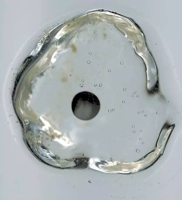 变异生物迷你世界,变异生物有哪些