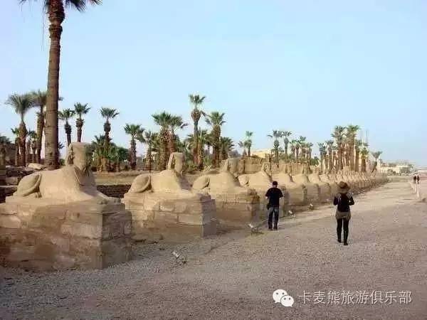 埃及电子签入境,埃及电子签出关