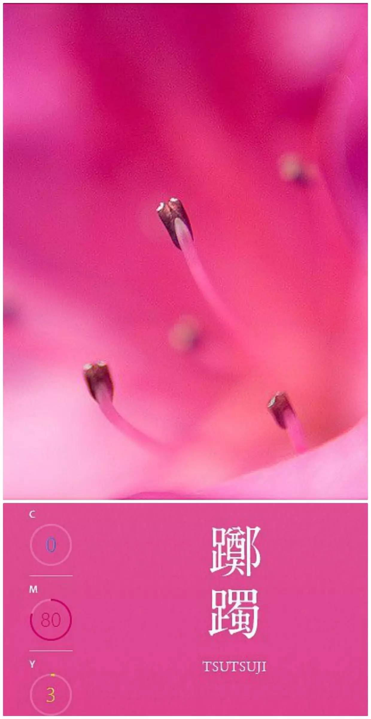 小野小町｜最平安的世代最美的女人