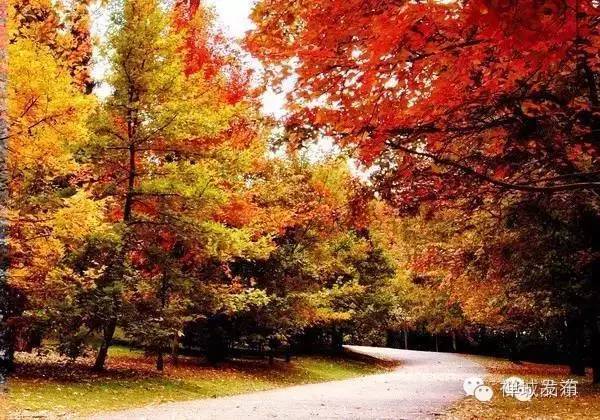 佛山机场增加航班,佛山沙堤机场最便宜航线