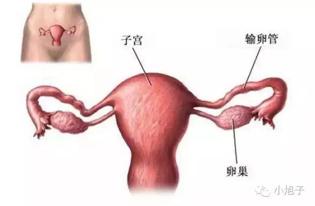 妈妈们曾经羞于谈起的事情，如今我想和你讨论讨论