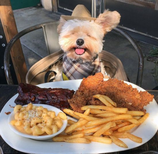 洗发水产品检测报告,各大洗发水检测报告