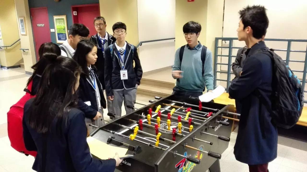 校园寻梦之旅,学校芳华十载逐梦未来