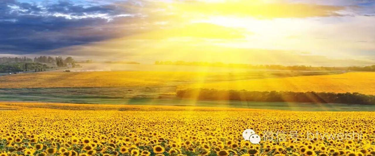 养生堂最新视频保健,养生堂2020视频全集营养粥