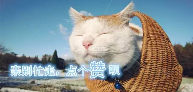 天平山的枫叶有几种,天平山枫叶什么时候变红