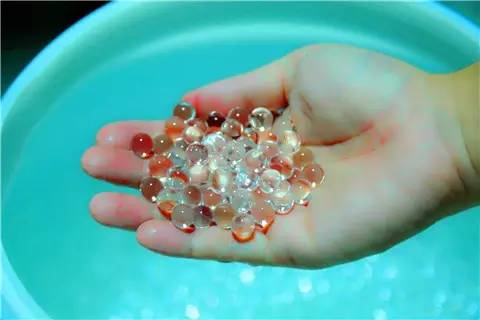 禅城夜晚游玩,禅城周末好去处