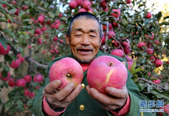 洗发水产品检测报告,各大洗发水检测报告