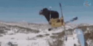 羊驼带你看懂双板Slopestyle（下）