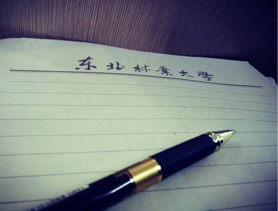 “冬”林安全说