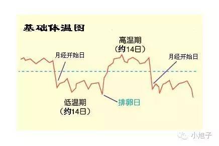 妈妈们曾经羞于谈起的事情，如今我想和你讨论讨论