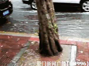 快讯！强台风“海马”登陆汕尾海丰县鲘门镇！过去1小时，厦门有6站降水大于50毫米！