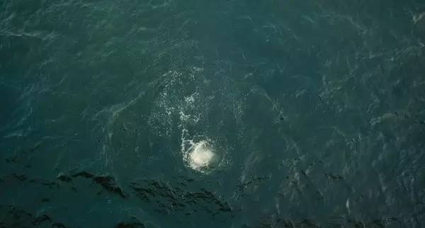 聊一聊曾经赚取你眼泪的电影（二）