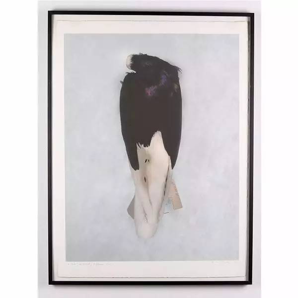 变异生物迷你世界,变异生物有哪些