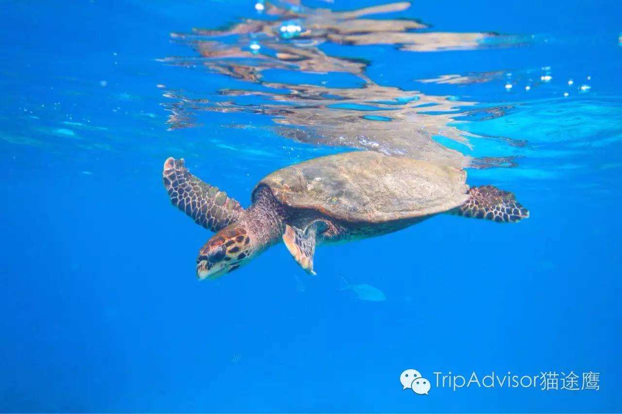 一次完美旅行需要掌握的几个要点,让旅行更完美的生活小妙招