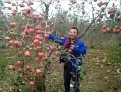 媳妇和小姨子吵架咋办,媳妇太淘气