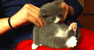 姑娘休要淘气了，谨慎老师找你谈话