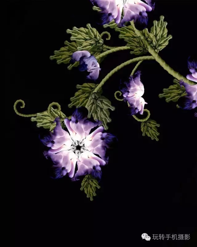 花卉我们看多了，但由上千名裸模组成的就第一次见！