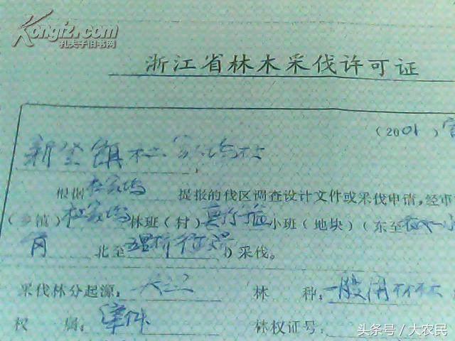 无证采伐林木立案处罚程序,私砍林木怎么处罚