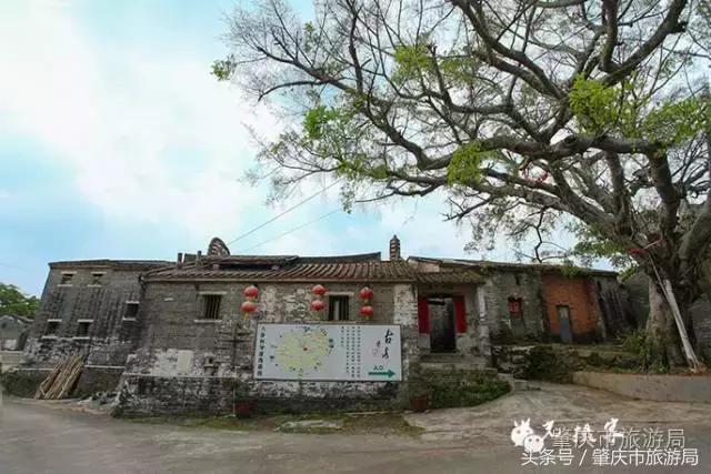 肇庆最新重磅消息,广东肇庆新消息