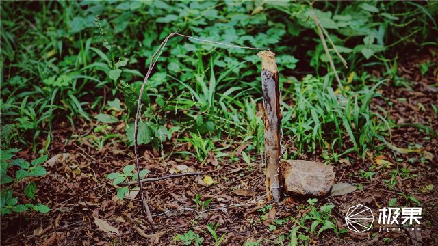 这盒子还没手掌大，里面的工具却比工具箱还全，野外保命全靠它