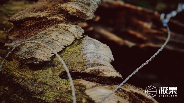 这盒子还没手掌大，里面的工具却比工具箱还全，野外保命全靠它