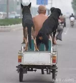 奇葩搞笑：国产抗日神剧太雷人！竟有战士打鬼子时在玩手机...