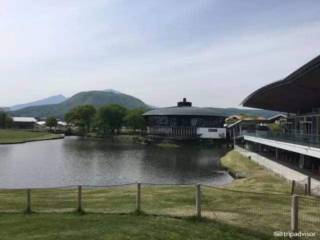 日本购物攻略必买药品,去日本购物去哪里买