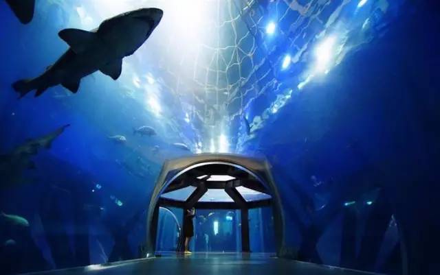 宁波飞韩国济州岛机票仅需9元,机票上海飞济州岛