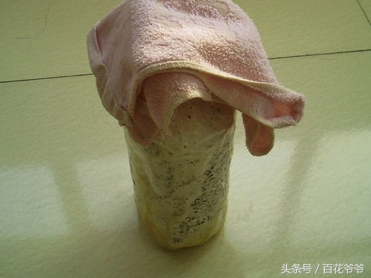 粉碎的玉米芯种植蘑菇方法和步骤,阳台种蘑菇的正确方法