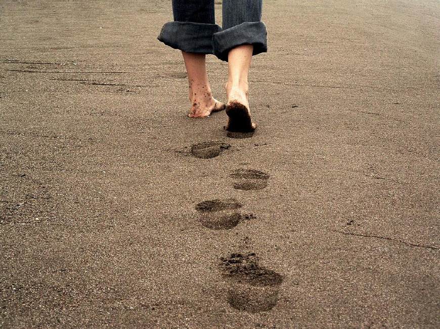 新农人学干农活,新农人需要学习什么