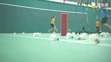 羽毛球技术流打法因达农,羽毛球因达农单打比赛视频