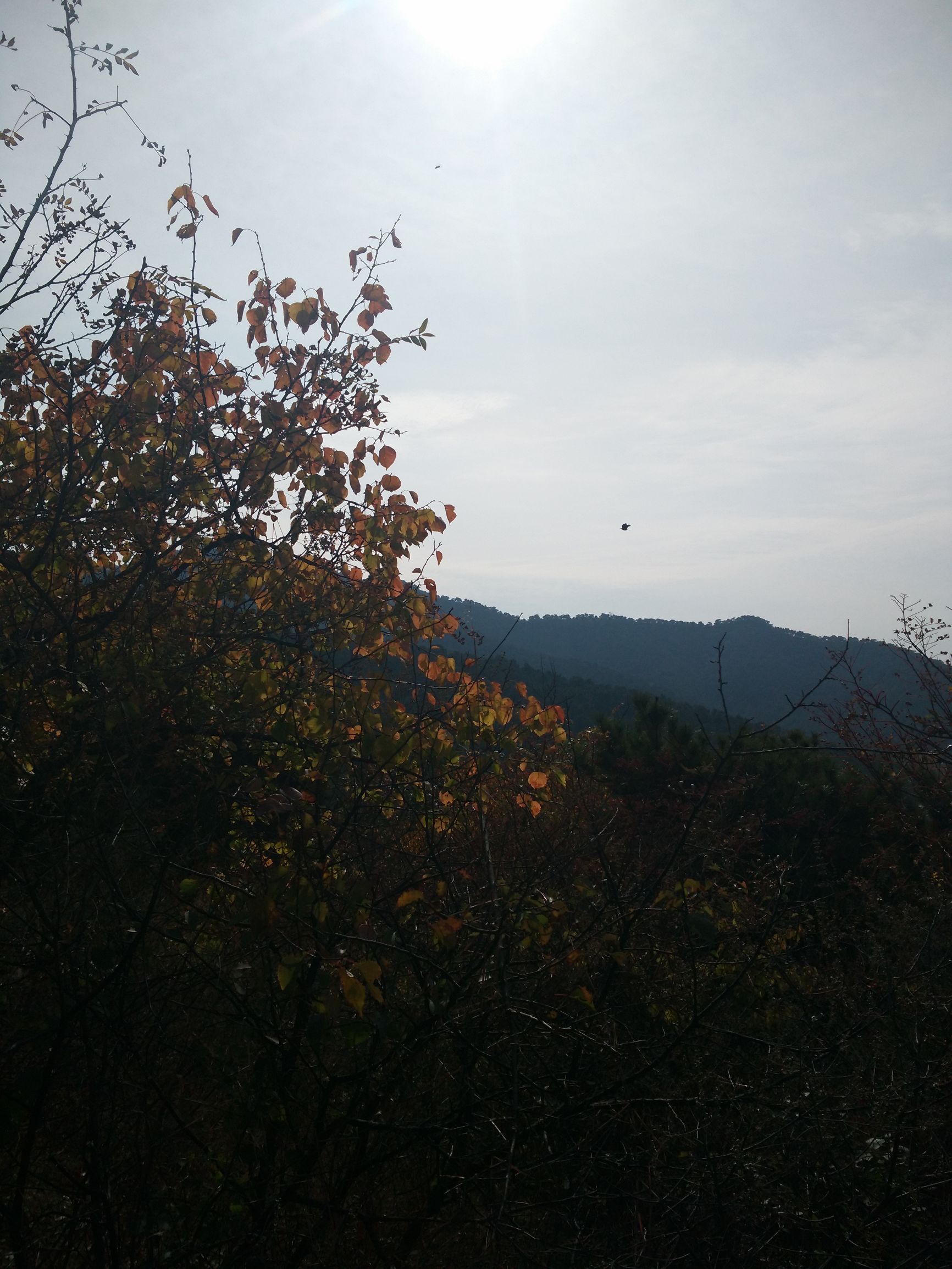 望峪山庄一日游攻略,望峪山