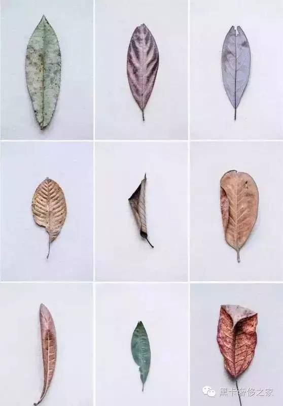 不要爱马仕不要LV,90后情侣花6万块造了个300㎡的大房子