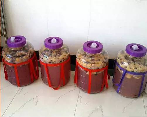 酵素食用酵素,食用酵素制作全过程