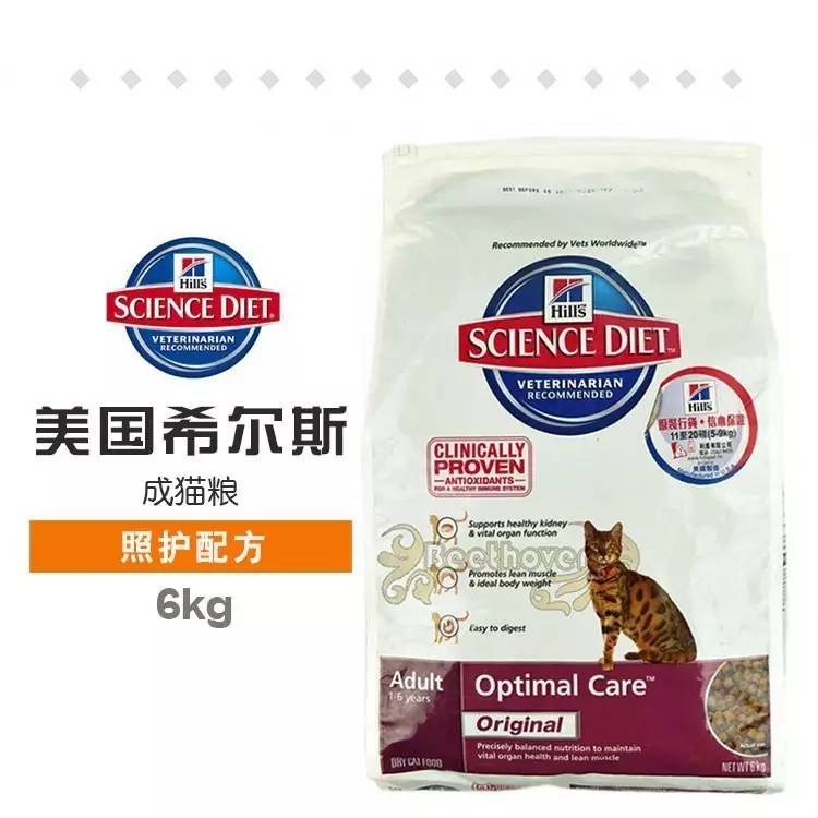猫咪适合吃什么猫粮,猫粮品种推荐图片