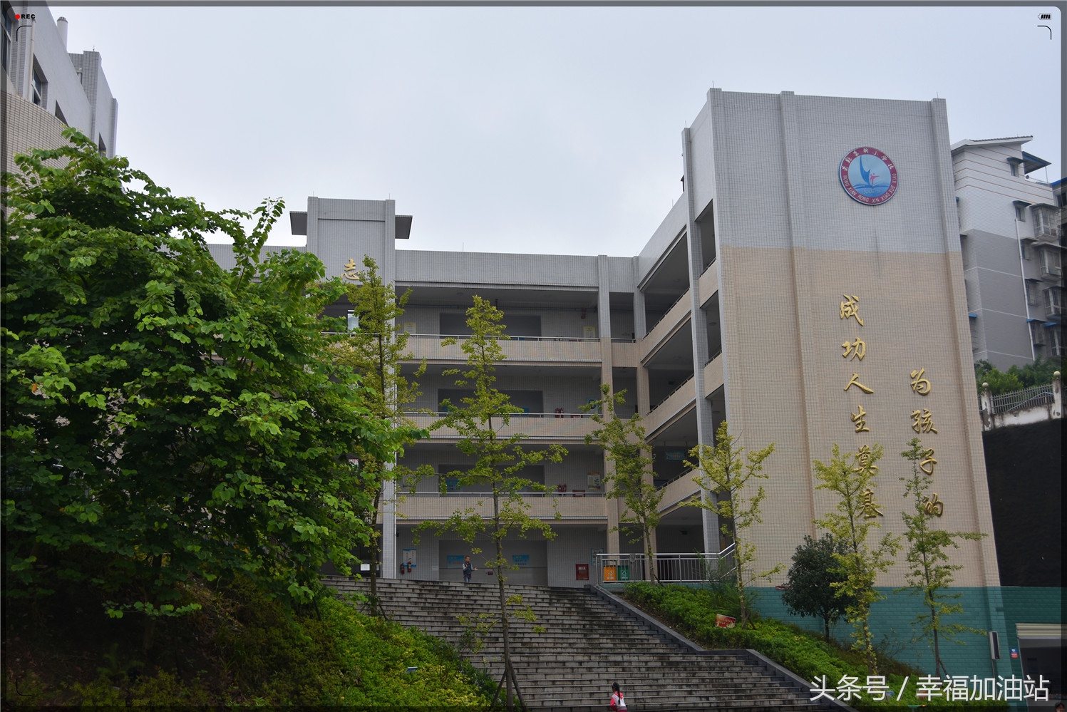 爱学校的作文,教你写作文小学生版