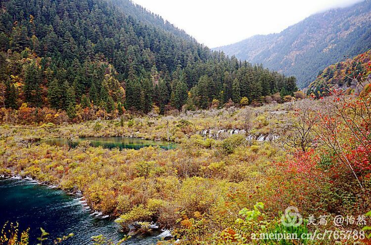 九寨沟让人失语的美丽童话世界,九寨沟有没有童话世界的景点